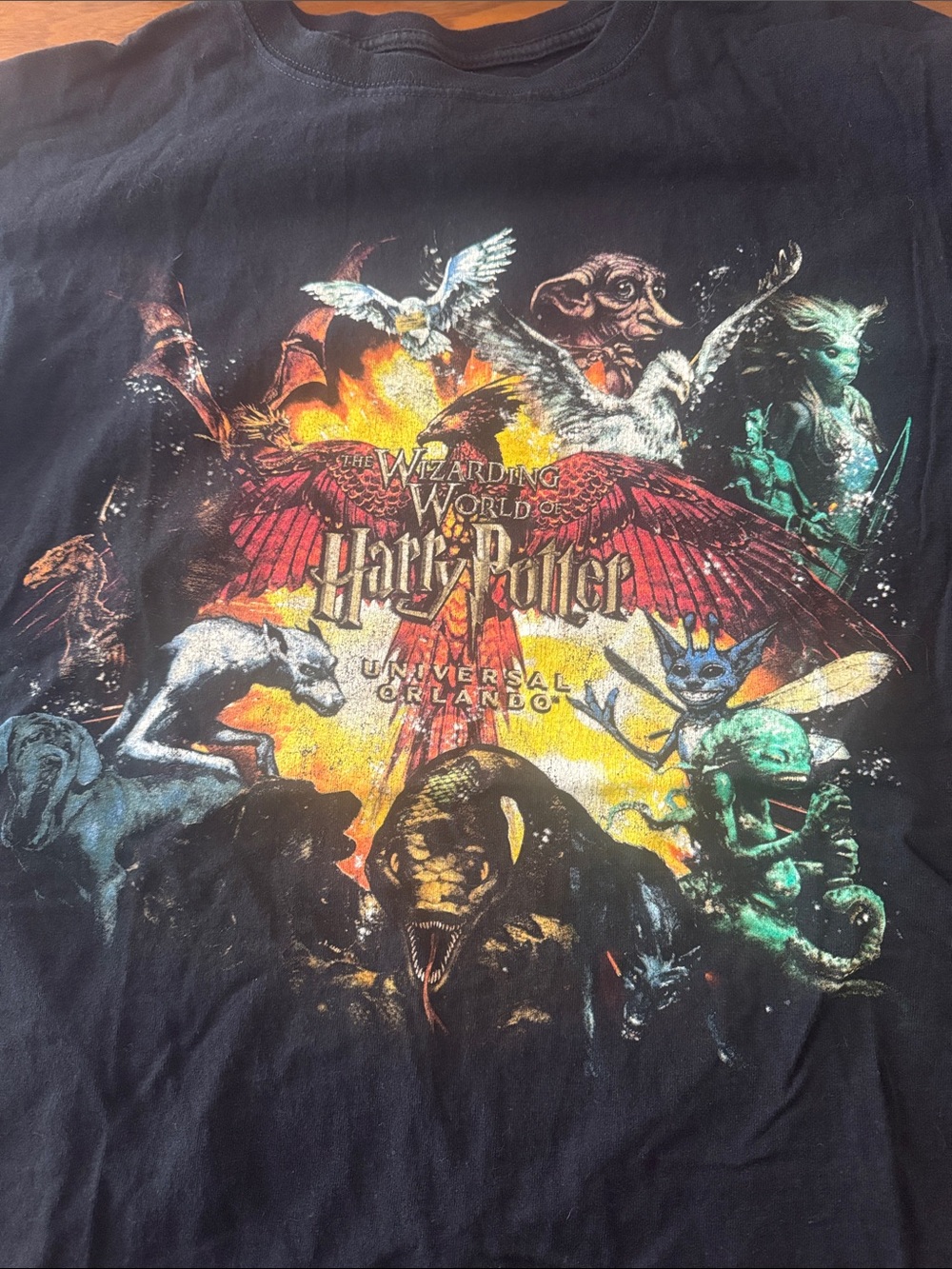 Vintage Harry Potter world Black Graphic Tee - Wizarding World Crew Neck - Picture 3 of 4